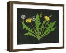 Wild Dandelion I-Melissa Wang-Framed Art Print