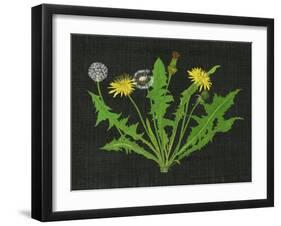 Wild Dandelion I-Melissa Wang-Framed Art Print