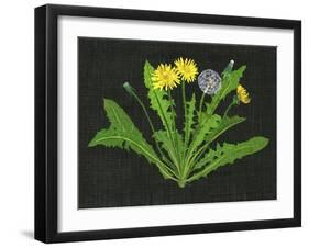 Wild Dandelion II-Melissa Wang-Framed Art Print