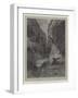 Wild Darrie-Charles Auguste Loye-Framed Giclee Print