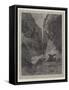 Wild Darrie-Charles Auguste Loye-Framed Stretched Canvas