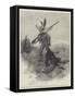 Wild Darrie-Amedee Forestier-Framed Stretched Canvas