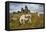 Wild Dartmoor ponies at Staple Tor near Merrivale, Dartmoor National Park, Devon, England-Stuart Black-Framed Stretched Canvas