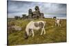 Wild Dartmoor ponies at Staple Tor near Merrivale, Dartmoor National Park, Devon, England-Stuart Black-Stretched Canvas