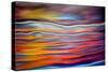 Wild Dawn-Ursula Abresch-Stretched Canvas