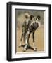 Wild Dog (Lycaon Pictus) in Captivity, Namibia, Africa-Steve & Ann Toon-Framed Photographic Print