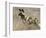 Wild Dog (Painted Hunting Dog) (Lycaon Pictus), South Africa, Africa-Steve & Ann Toon-Framed Photographic Print