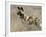 Wild Dog (Painted Hunting Dog) (Lycaon Pictus), South Africa, Africa-Steve & Ann Toon-Framed Photographic Print