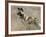 Wild Dog (Painted Hunting Dog) (Lycaon Pictus), South Africa, Africa-Steve & Ann Toon-Framed Photographic Print