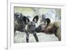 Wild Dogs at Dawn, Moremi Game Reserve, Botswana-Paul Souders-Framed Photographic Print