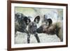 Wild Dogs at Dawn, Moremi Game Reserve, Botswana-Paul Souders-Framed Photographic Print