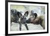 Wild Dogs at Dawn, Moremi Game Reserve, Botswana-Paul Souders-Framed Photographic Print