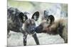 Wild Dogs at Dawn, Moremi Game Reserve, Botswana-Paul Souders-Mounted Photographic Print