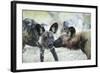 Wild Dogs at Dawn, Moremi Game Reserve, Botswana-Paul Souders-Framed Photographic Print