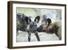 Wild Dogs at Dawn, Moremi Game Reserve, Botswana-Paul Souders-Framed Photographic Print