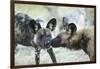 Wild Dogs at Dawn, Moremi Game Reserve, Botswana-Paul Souders-Framed Photographic Print