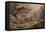 Wild Dogs Attacking a Tiger-Samuel Howitt-Framed Stretched Canvas