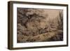 Wild Dogs Attacking a Tiger-Samuel Howitt-Framed Giclee Print