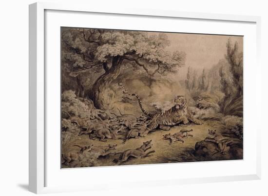 Wild Dogs Attacking a Tiger-Samuel Howitt-Framed Giclee Print