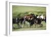 Wild Dogs Feeding on Young Wildebeeste , Piyaya, Tanzania-Paul Joynson Hicks-Framed Photographic Print