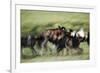 Wild Dogs Feeding on Young Wildebeeste , Piyaya, Tanzania-Paul Joynson Hicks-Framed Photographic Print