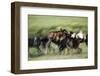 Wild Dogs Feeding on Young Wildebeeste , Piyaya, Tanzania-Paul Joynson Hicks-Framed Photographic Print