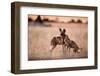 Wild Dogs, Moremi Game Reserve, Botswana-Paul Souders-Framed Photographic Print