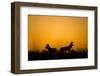 Wild Dogs, Moremi Game Reserve, Botswana-Paul Souders-Framed Photographic Print