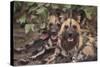 Wild Dogs-DLILLC-Stretched Canvas