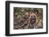 Wild Dogs-DLILLC-Framed Premium Photographic Print