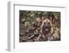Wild Dogs-DLILLC-Framed Premium Photographic Print