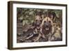 Wild Dogs-DLILLC-Framed Photographic Print