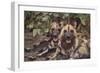 Wild Dogs-DLILLC-Framed Photographic Print