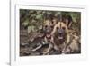 Wild Dogs-DLILLC-Framed Photographic Print