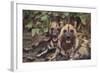 Wild Dogs-DLILLC-Framed Photographic Print