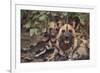 Wild Dogs-DLILLC-Framed Photographic Print