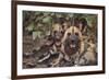 Wild Dogs-DLILLC-Framed Photographic Print