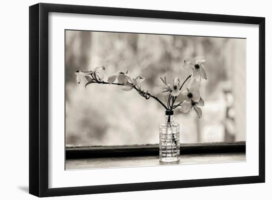 Wild Dogwood-Kelly Sinclair-Framed Photographic Print