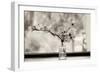 Wild Dogwood-Kelly Sinclair-Framed Photographic Print