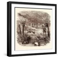 Wild Duck Shooting in December-null-Framed Giclee Print