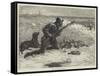 Wild-Duck Shooting-null-Framed Stretched Canvas