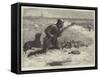 Wild-Duck Shooting-null-Framed Stretched Canvas