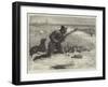 Wild-Duck Shooting-null-Framed Giclee Print