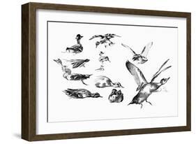 Wild Ducks, 1901-Felix Braquemond-Framed Giclee Print