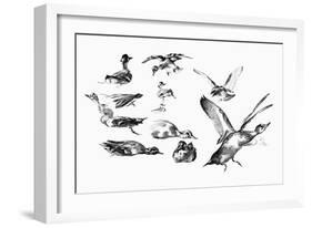 Wild Ducks, 1901-Felix Braquemond-Framed Giclee Print