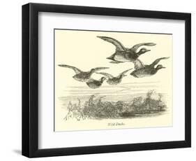 Wild Ducks-null-Framed Giclee Print