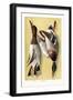 Wild Ducks-null-Framed Art Print