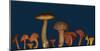 Wild edible Mushrooms-null-Mounted Art Print