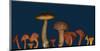 Wild edible Mushrooms-null-Mounted Art Print