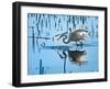 Wild Egret Fishing Horicon Marsh Wisconsin-Steve Gadomski-Framed Photographic Print